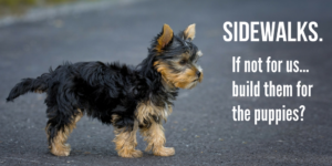 build sidewalks for puppies and people